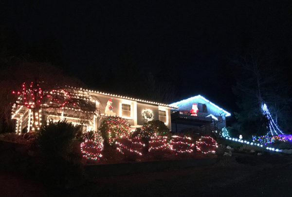 Holiday Lighting – Northwest Professional Services